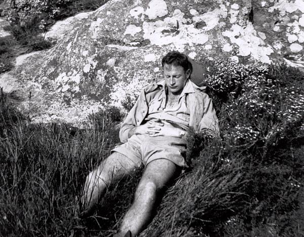 Meyer and Kalk Bay Places